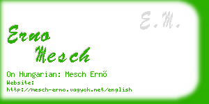 erno mesch business card